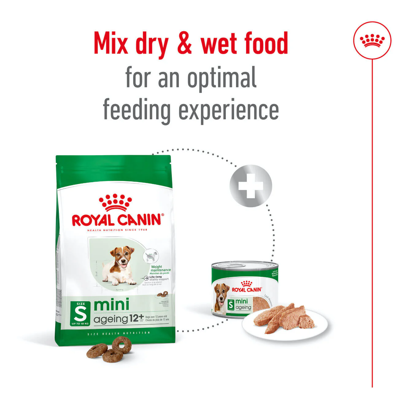 Royal Canin Mini Ageing 12+ Dry Dog Food - Image 6
