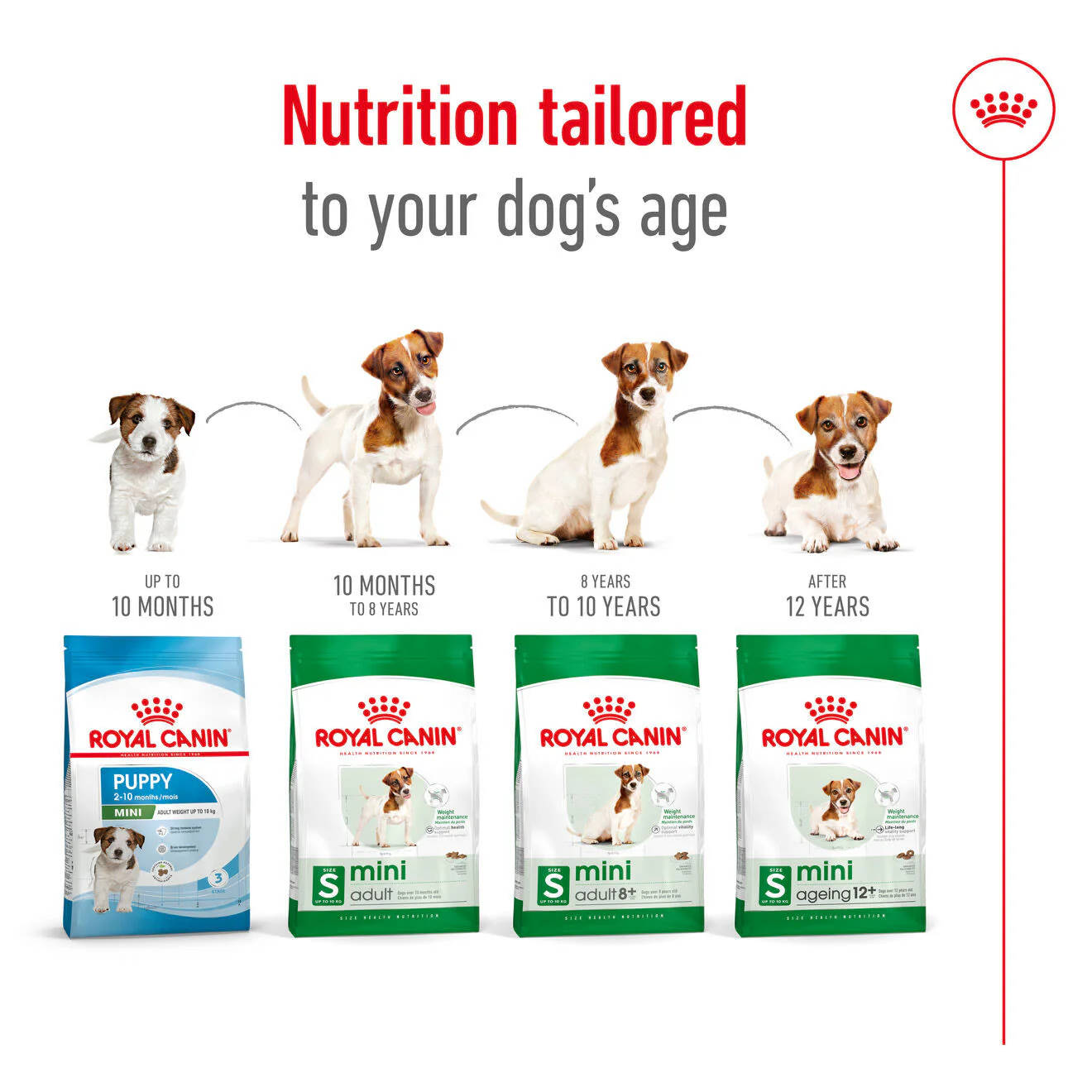 Royal Canin Mini Ageing 12+ Dry Dog Food - Image 9