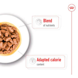 Royal Canin Mini Ageing 12+ Senior In Gravy Wet Dog Food - Image 4
