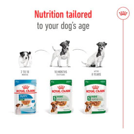 Royal Canin Mini Ageing 12+ Senior In Gravy Wet Dog Food - Image 6