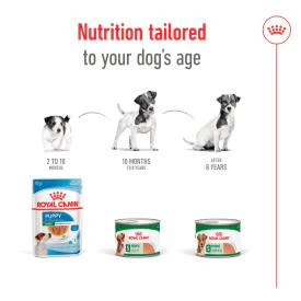 Royal Canin Mini Ageing 8+ Senior Wet Dog Food in Loaf - Image 5