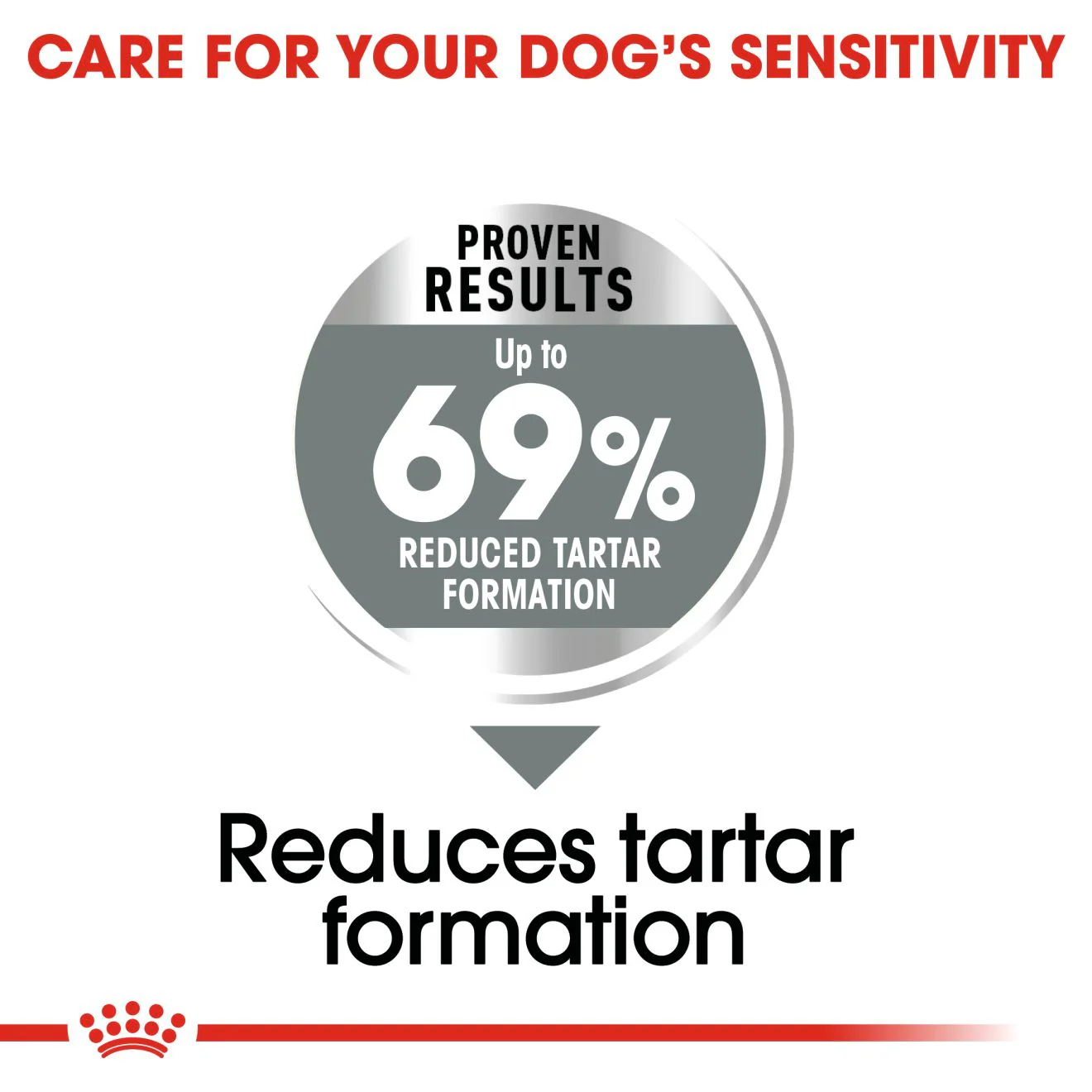 Royal Canin Mini Dental Care Adult Dry Dog Food - Image 4