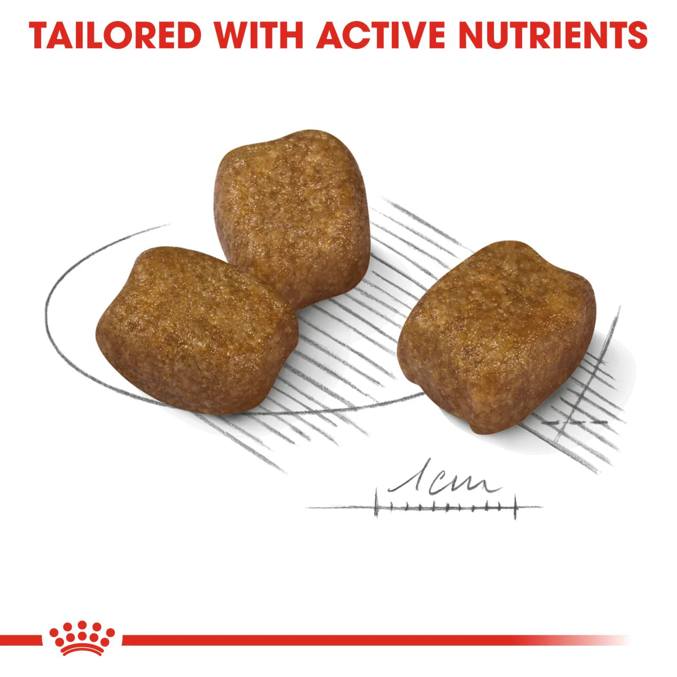 Royal Canin Mini Dental Care Adult Dry Dog Food - Image 5