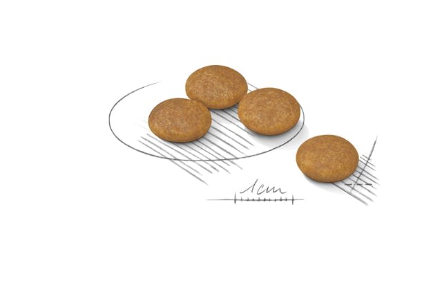 Royal Canin Mini Dermacomfort Adult Dry Dog Food - Image 2