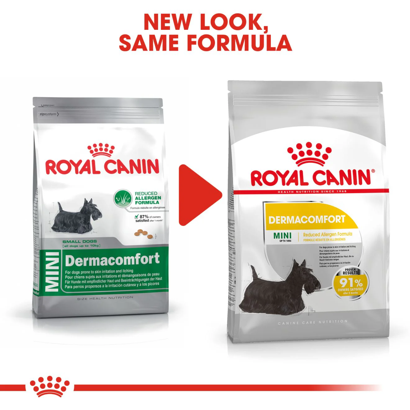 Royal Canin Mini Dermacomfort Adult Dry Dog Food - Image 7