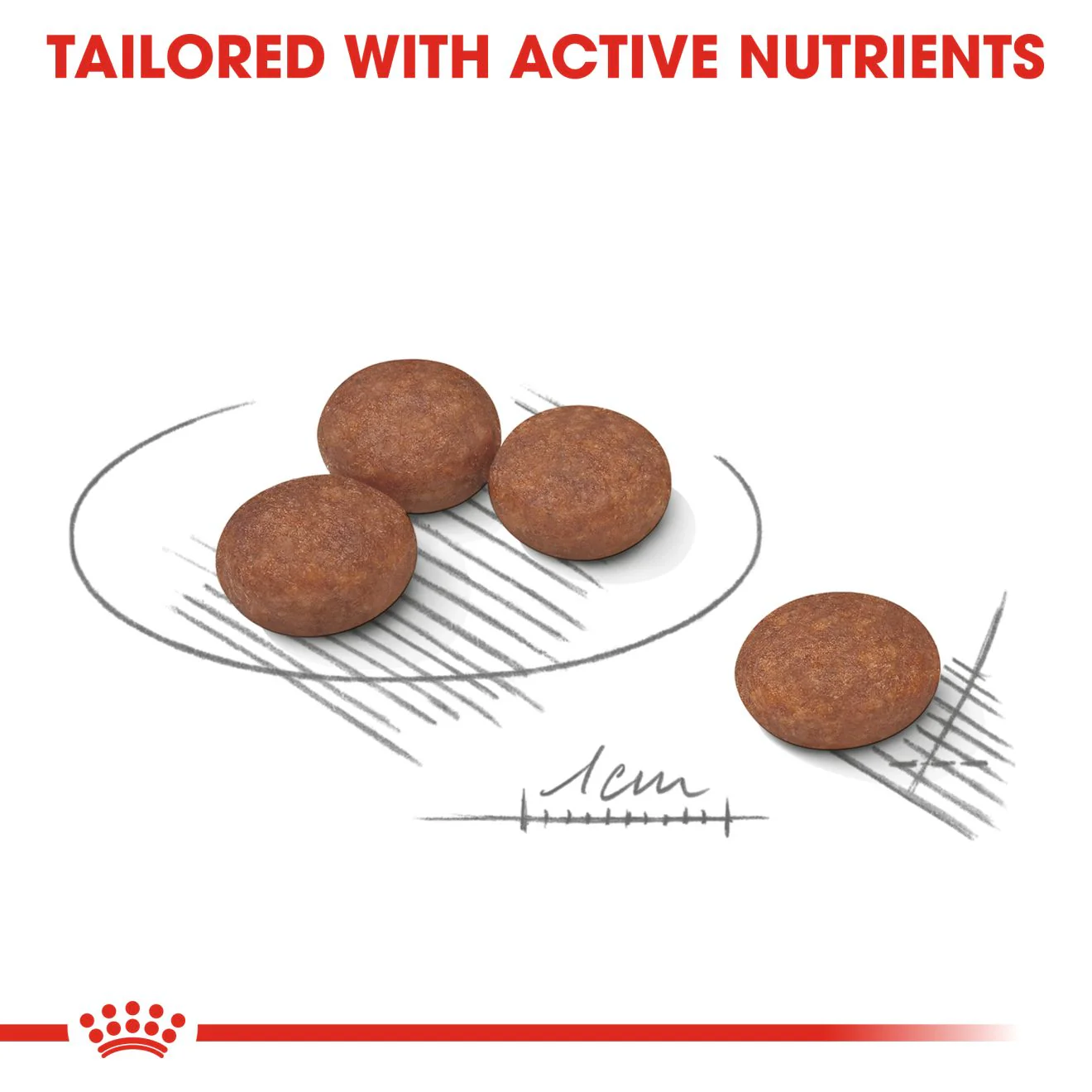 Royal Canin Mini Digestive Care Adult Dry Dog Food - Image 6