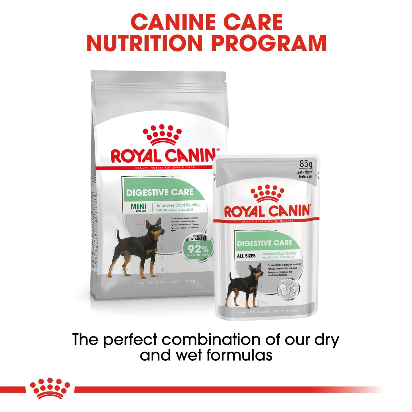 Royal Canin Mini Digestive Care Adult Dry Dog Food - Image 7