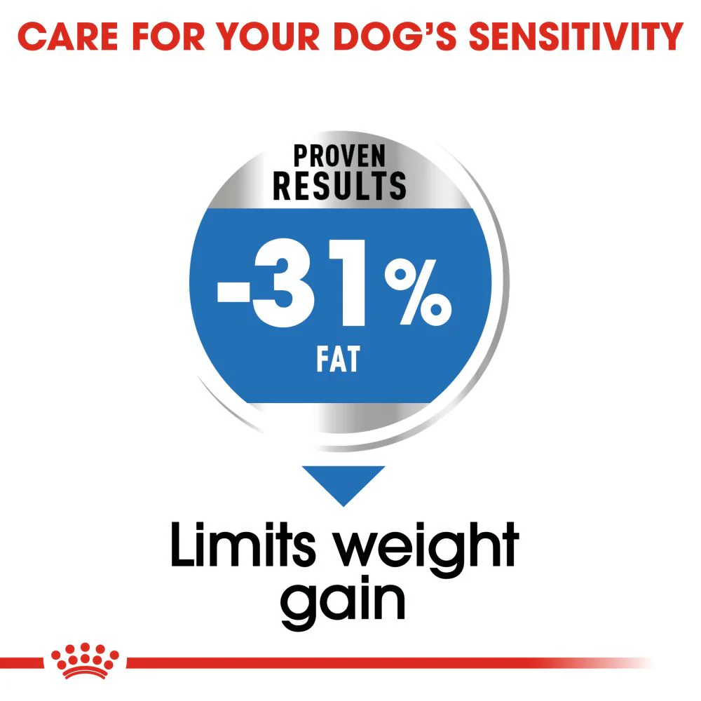 Royal Canin Mini Light Weight Care Adult Dry Dog Food - Image 5