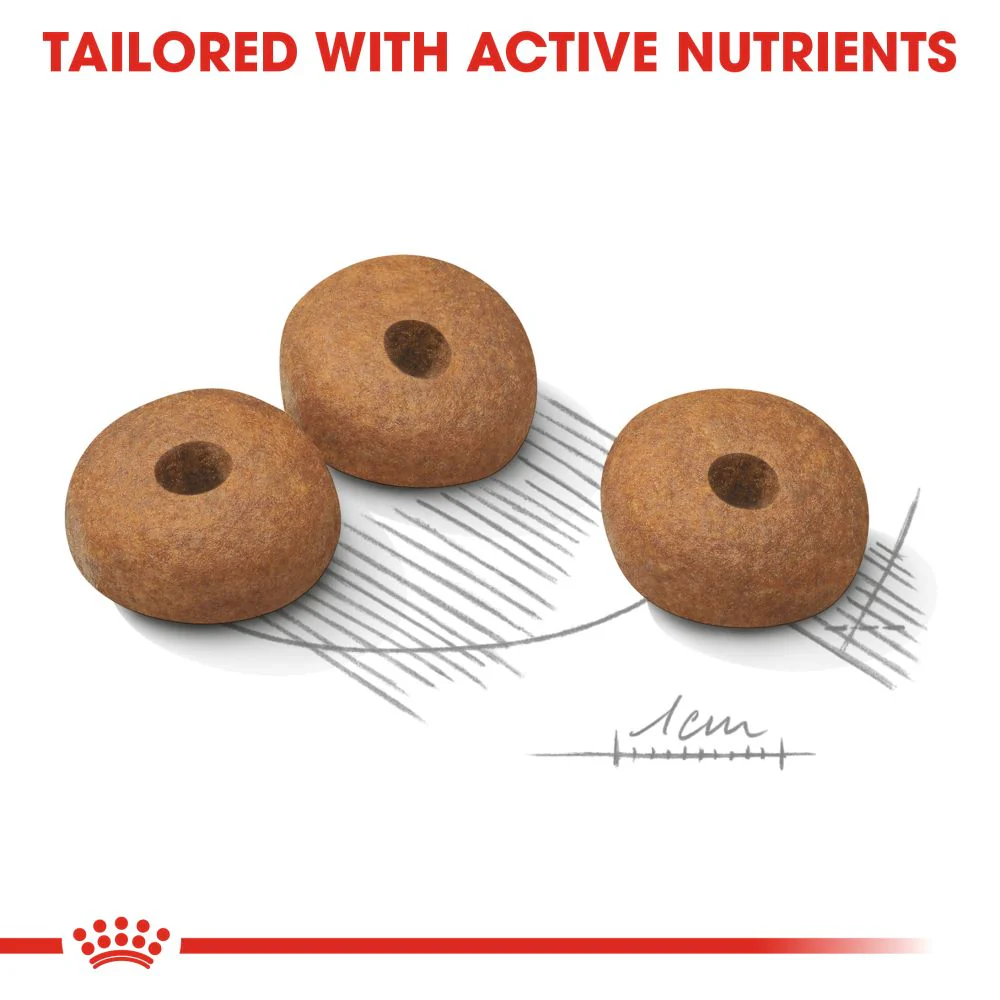 Royal Canin Mini Light Weight Care Adult Dry Dog Food - Image 6