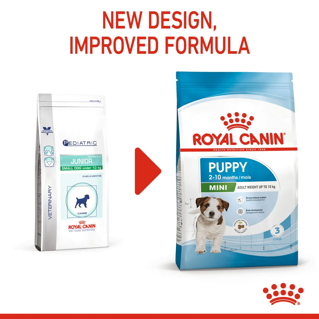 Royal Canin Mini Puppy Dry Dog Food - Image 3