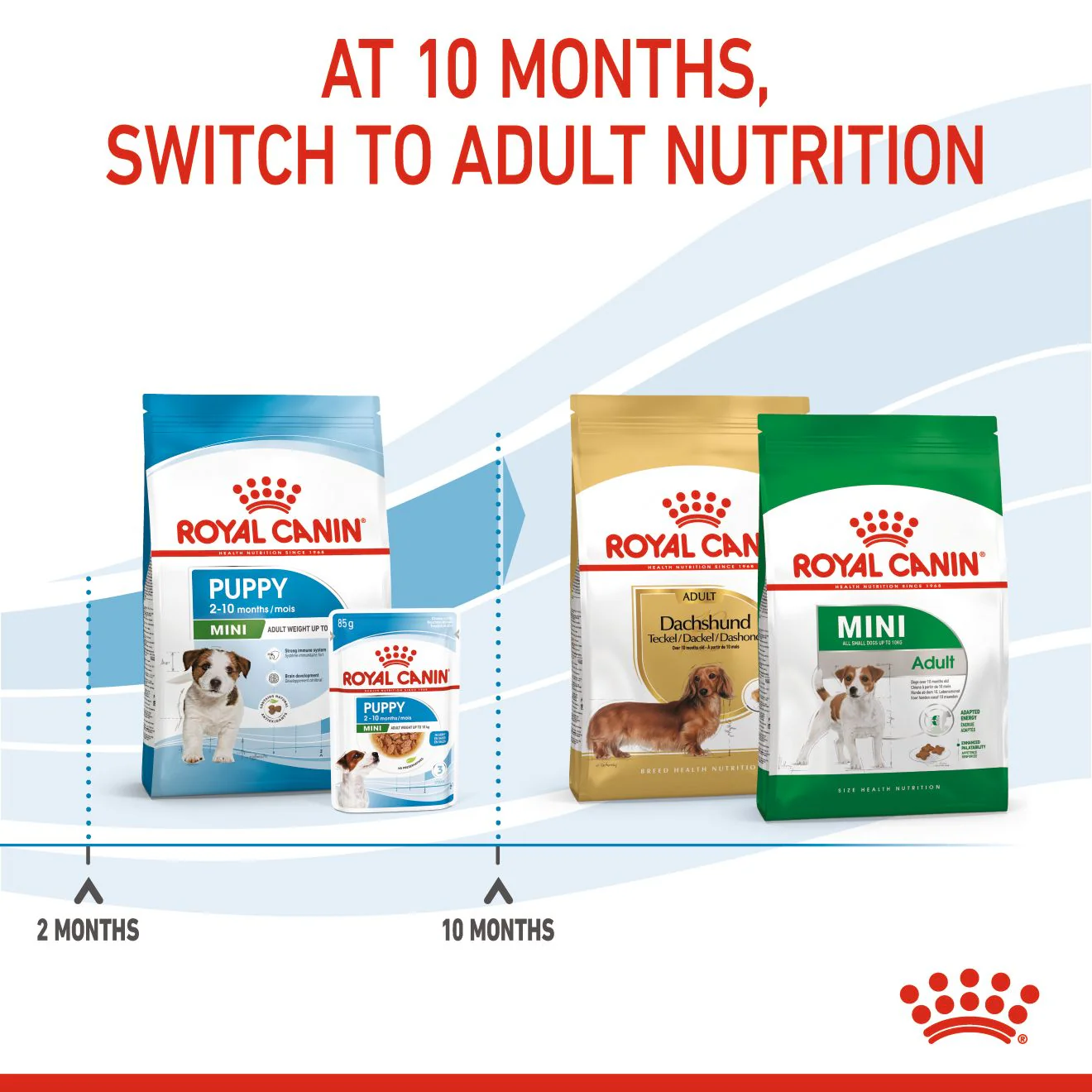 Royal Canin Mini Puppy Dry Dog Food - Image 4