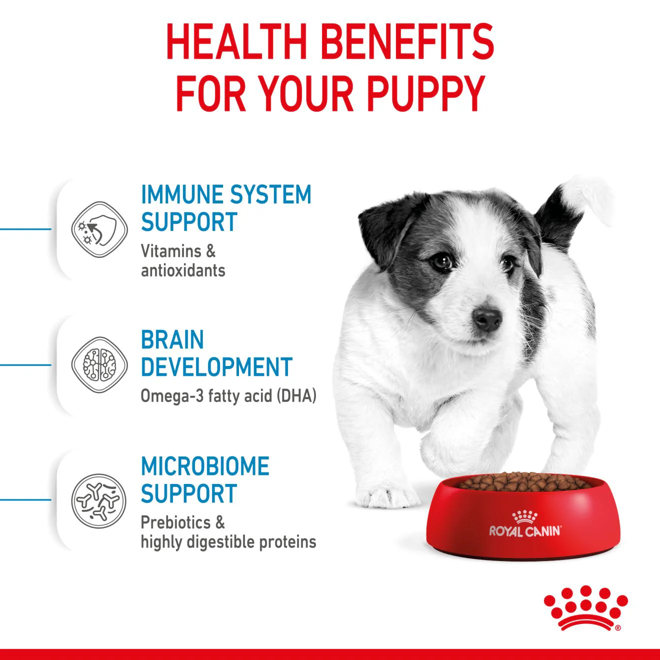 Royal Canin Mini Puppy Dry Dog Food - Image 8