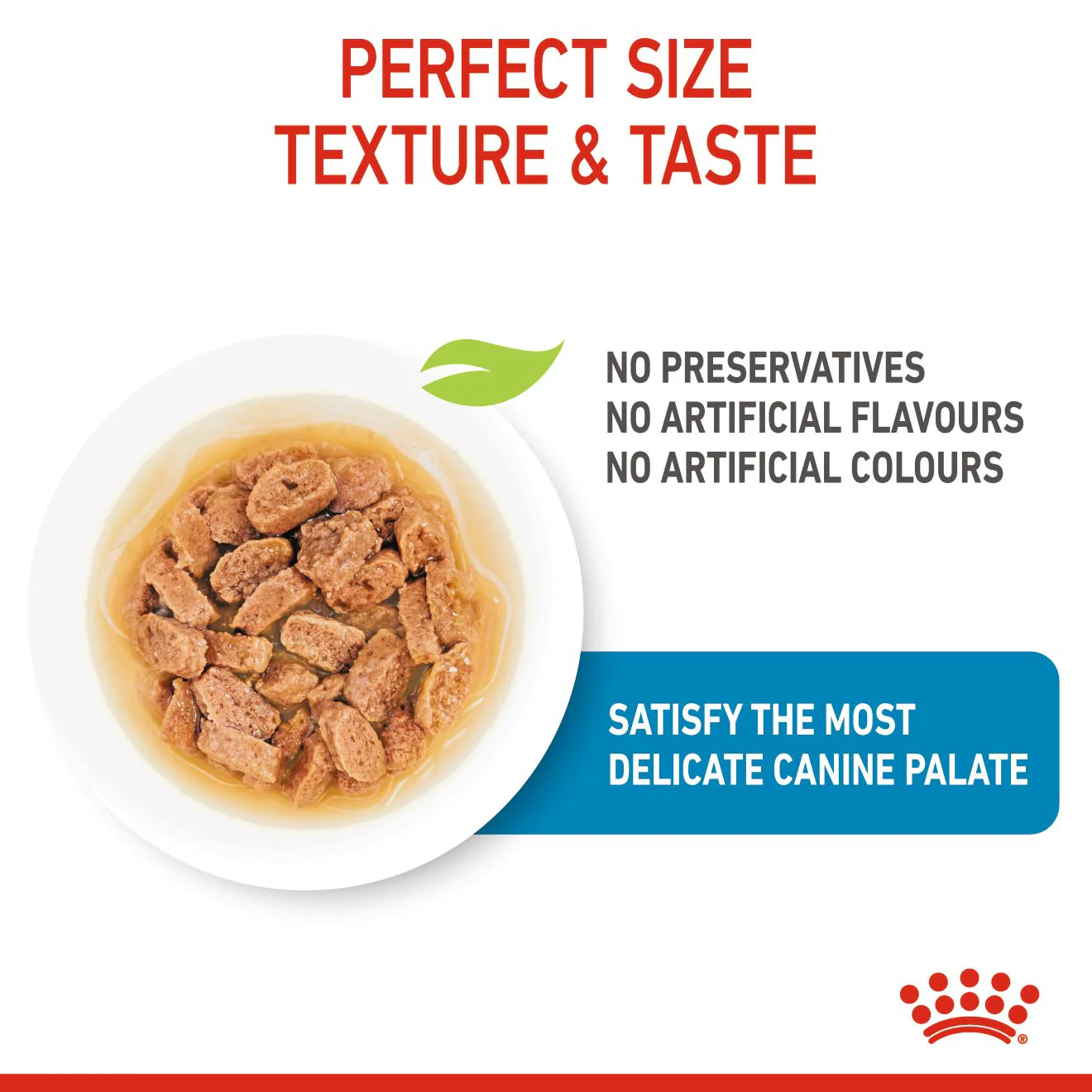 Royal Canin Mini Puppy Wet Dog Food - Chunks in Gravy - Image 4