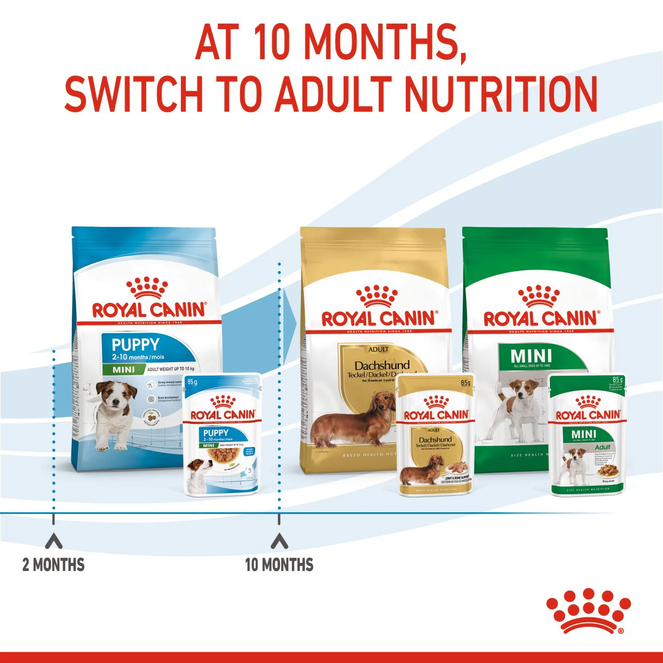 Royal Canin Mini Puppy Wet Dog Food - Chunks in Gravy - Image 9
