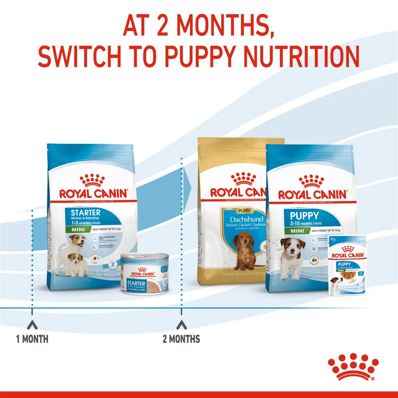 Royal Canin Mini Starter Mother & Babydog Adult/Puppy Dry Dog Food - Image 4