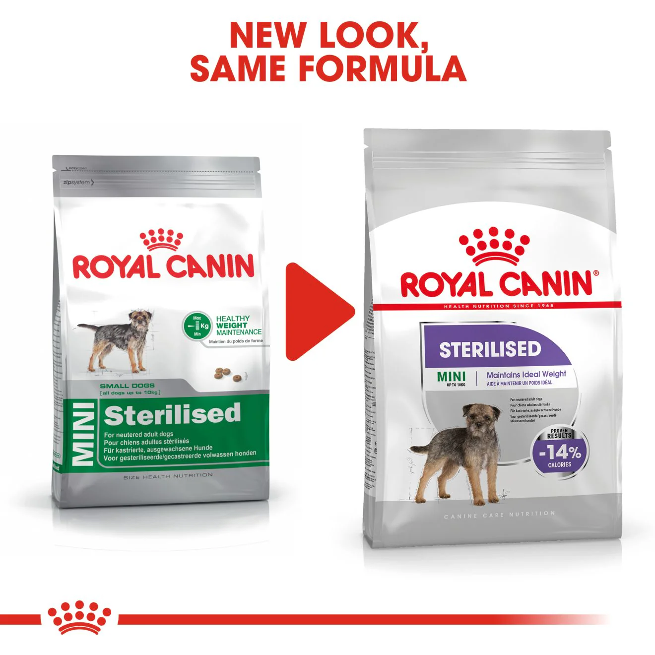 Royal Canin Mini Sterilised Care Adult Dry Dog Food - Image 4