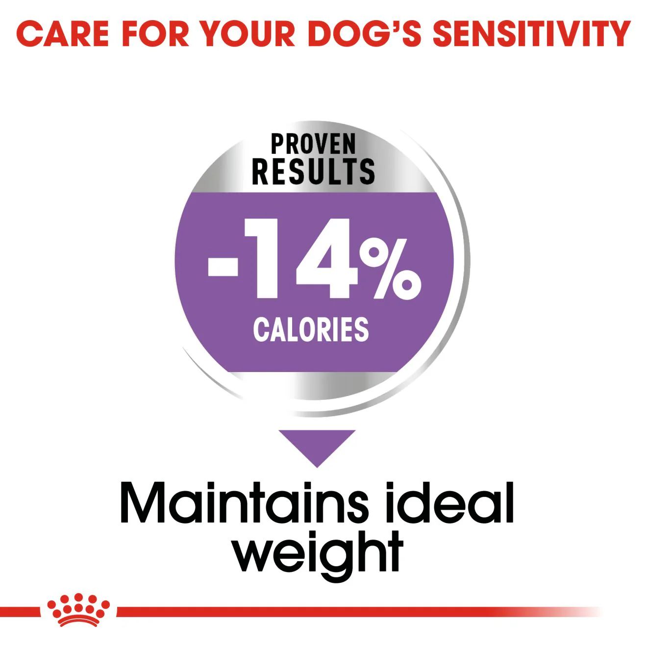 Royal Canin Mini Sterilised Care Adult Dry Dog Food - Image 5