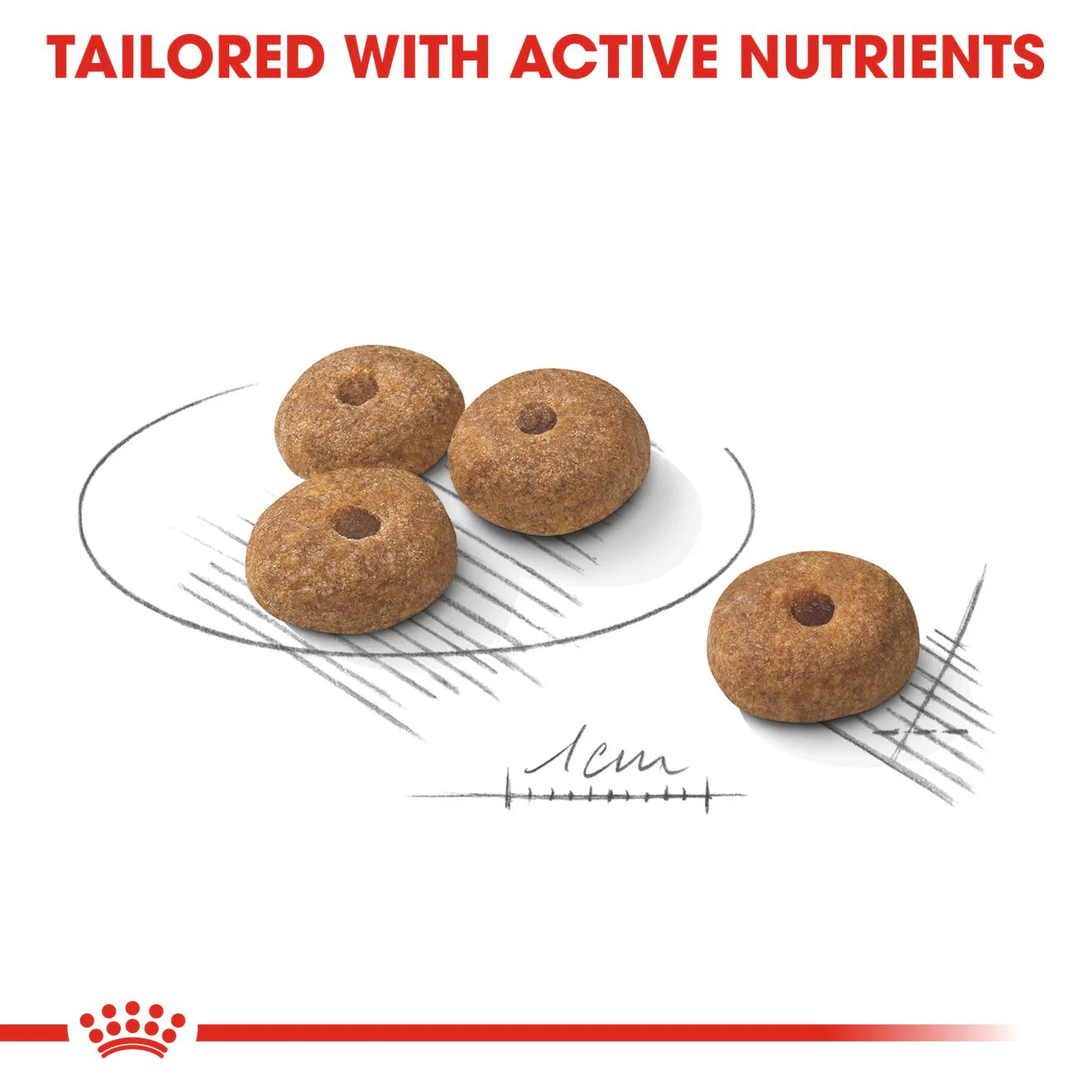 Royal Canin Mini Sterilised Care Adult Dry Dog Food - Image 6