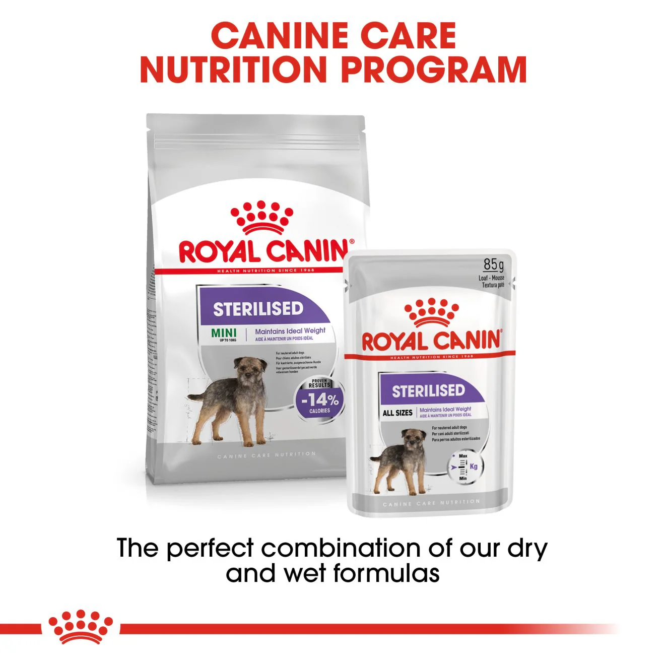 Royal Canin Mini Sterilised Care Adult Dry Dog Food - Image 7
