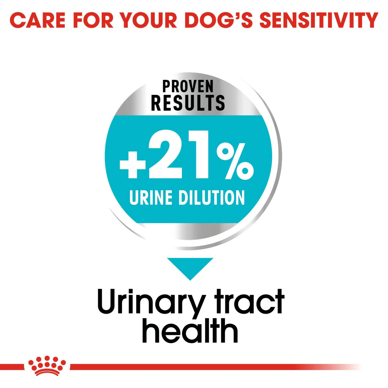 Royal Canin Mini Urinary Care Adult Dry Dog Food - Image 4
