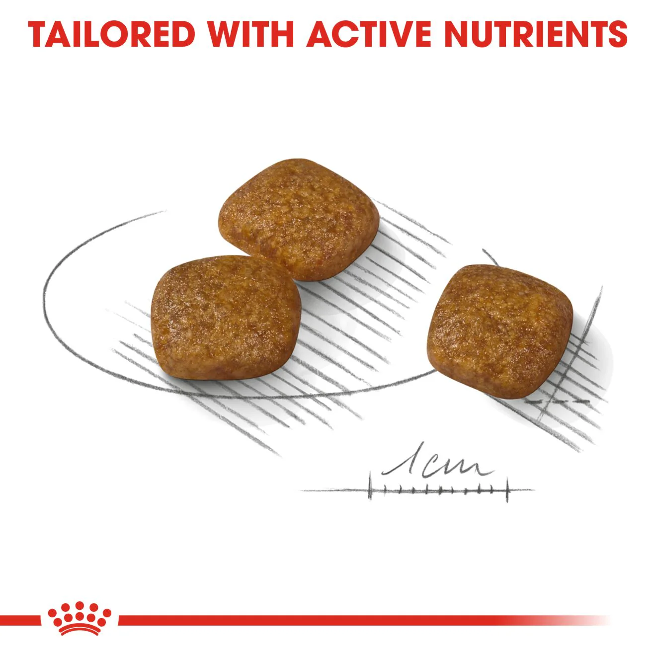 Royal Canin Mini Urinary Care Adult Dry Dog Food - Image 5