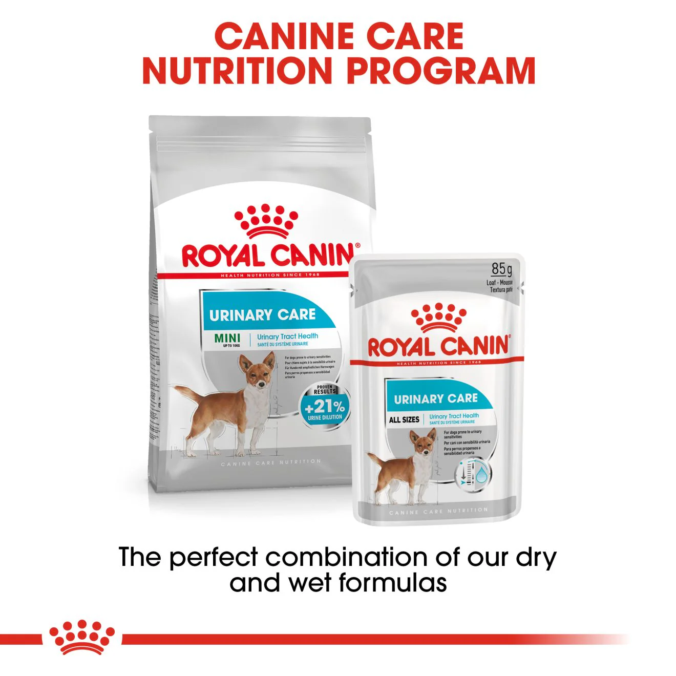Royal Canin Mini Urinary Care Adult Dry Dog Food - Image 6