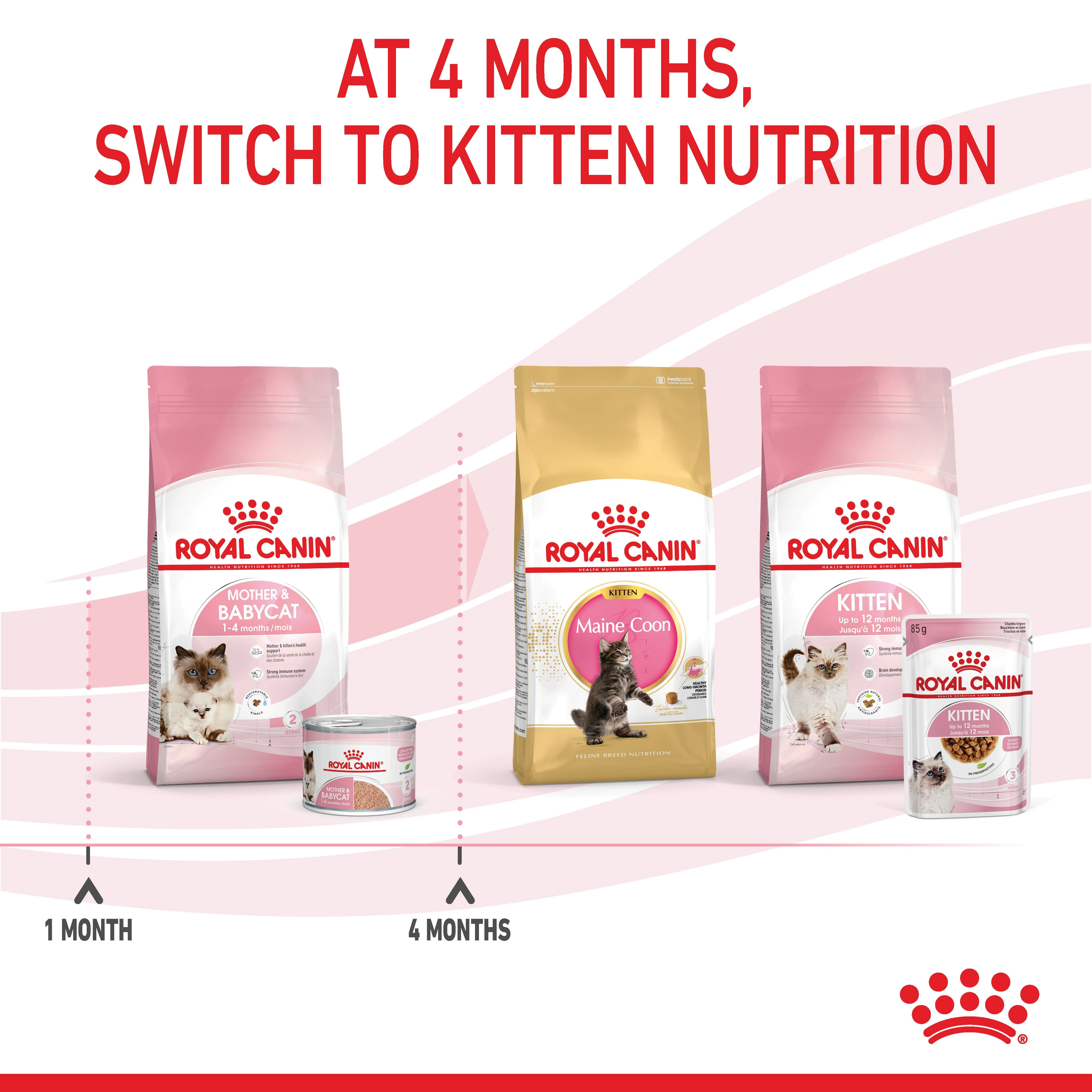 Royal Canin Mother and Babycat Wet Cat Food - Mousse - Image 10