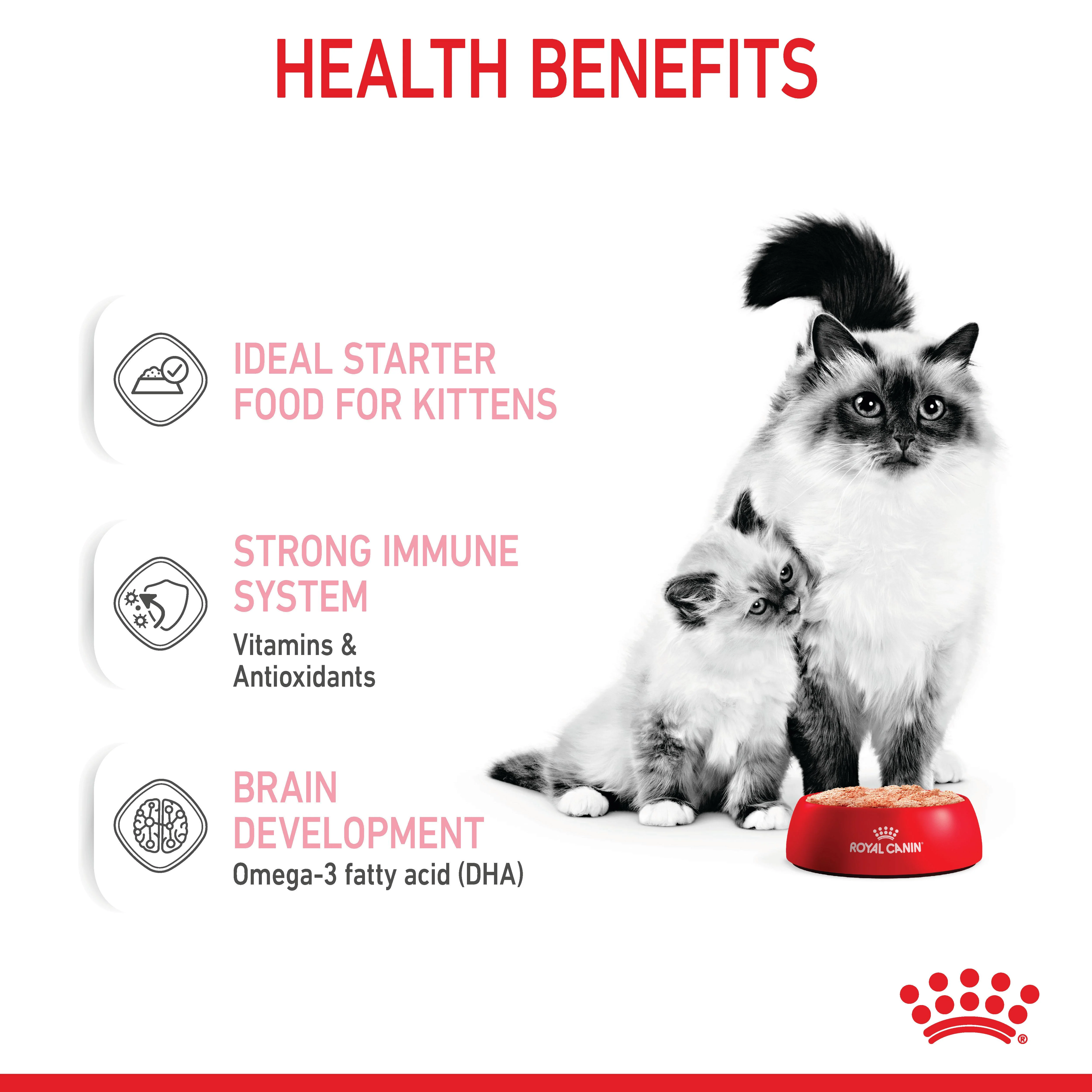 Royal Canin Mother and Babycat Wet Cat Food - Mousse - Image 6