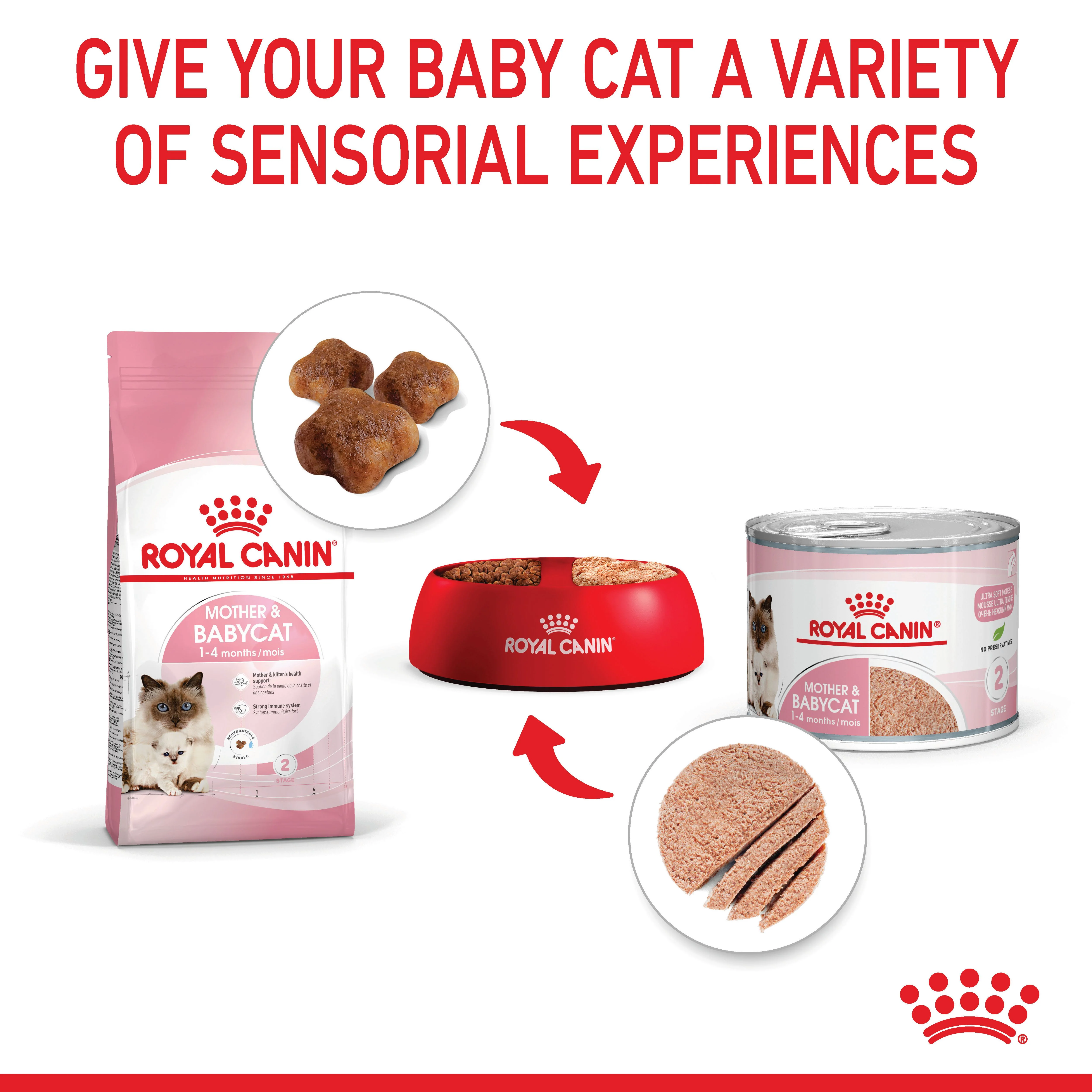 Royal Canin Mother and Babycat Wet Cat Food - Mousse - Image 7