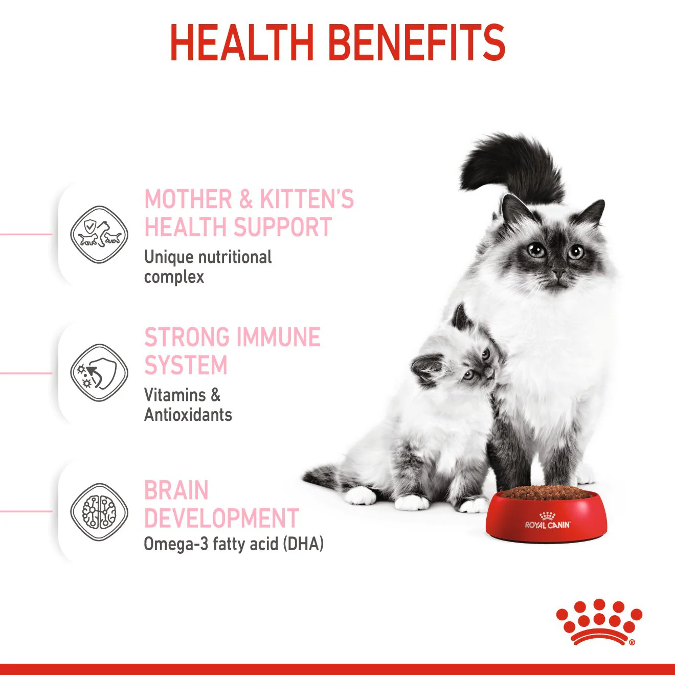 Royal Canin Mother & Babycat Adult/Kitten Dry Cat Food - Image 3