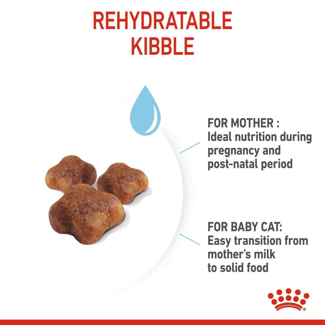 Royal Canin Mother & Babycat Adult/Kitten Dry Cat Food - Image 4
