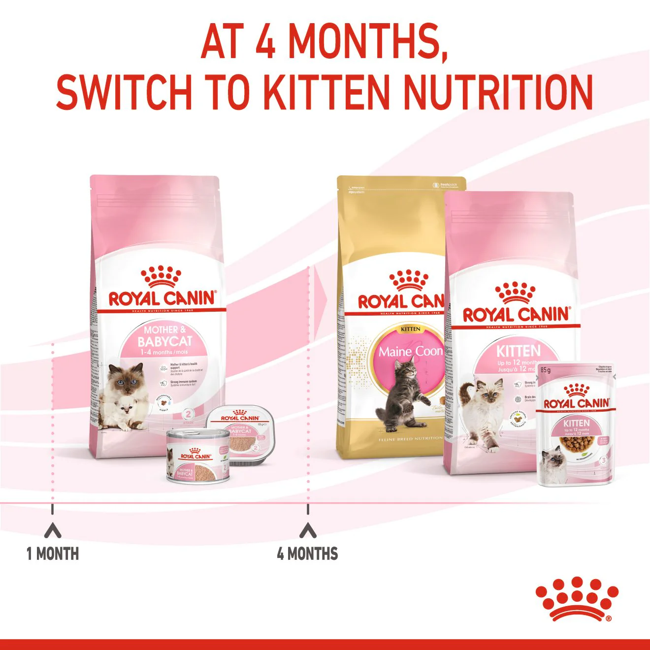 Royal Canin Mother & Babycat Adult/Kitten Dry Cat Food - Image 5