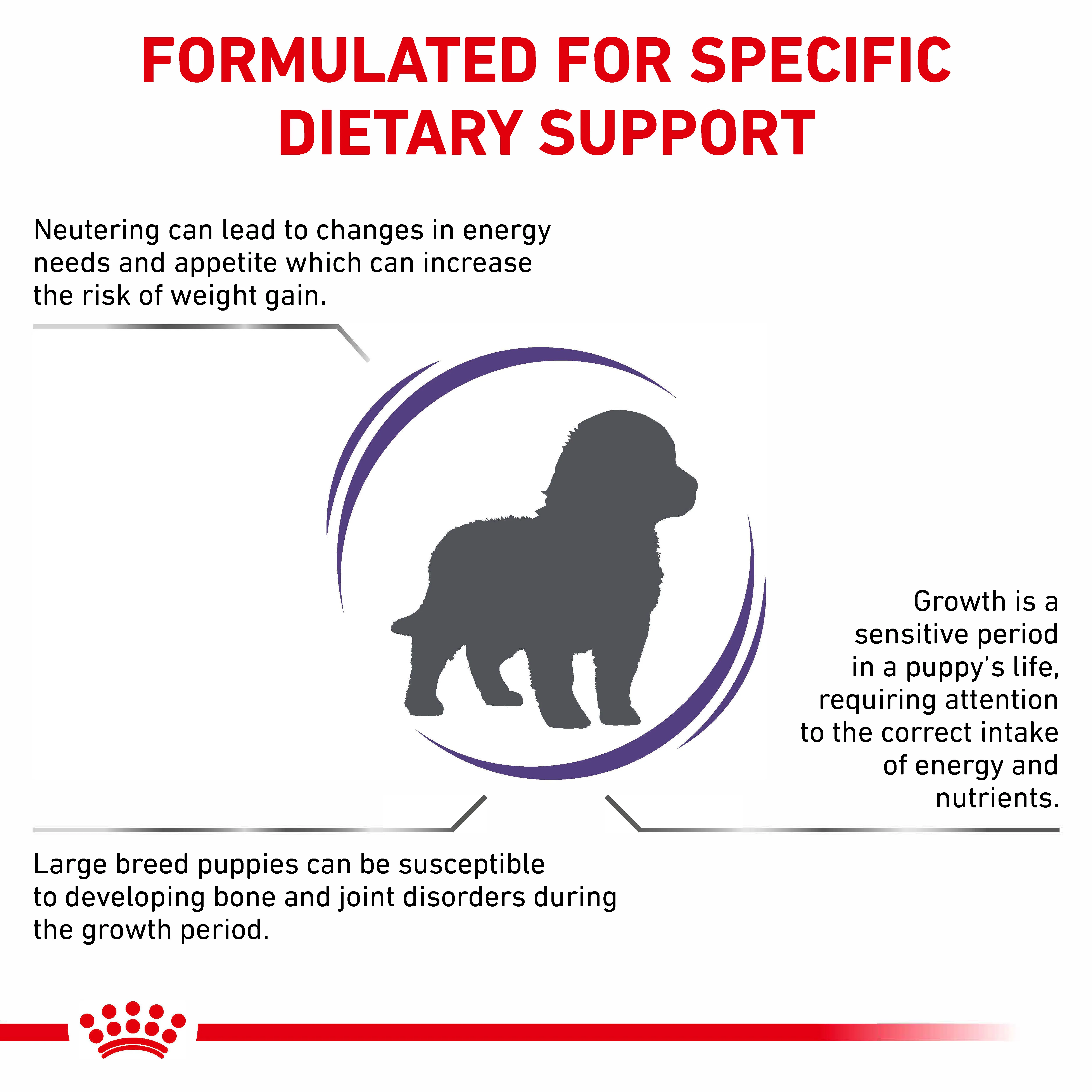 Royal Canin Neutered Junior Large Dog Puppy Dry Dog Food - Image 6