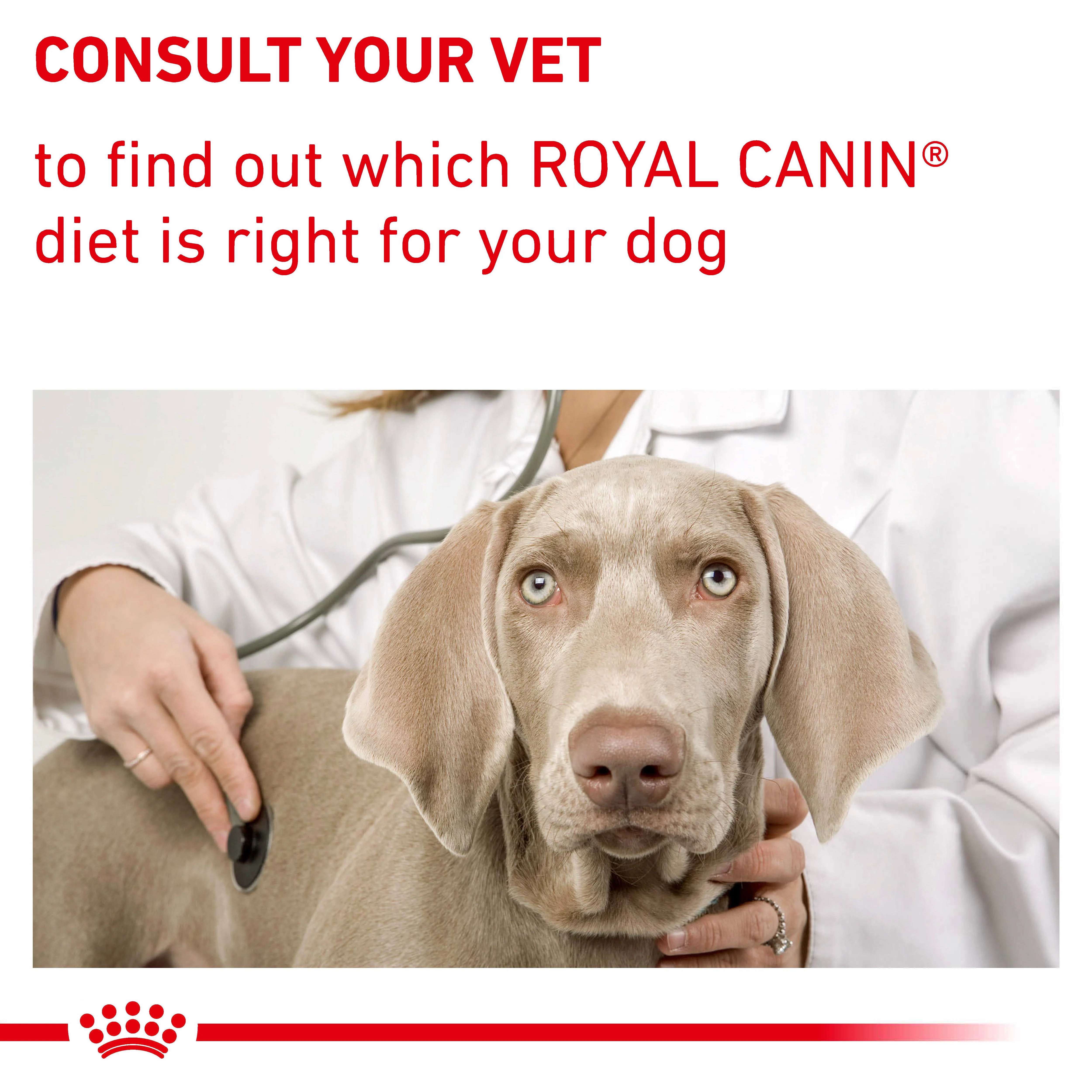 Royal Canin Neutered Junior Large Dog Puppy Dry Dog Food - Image 7