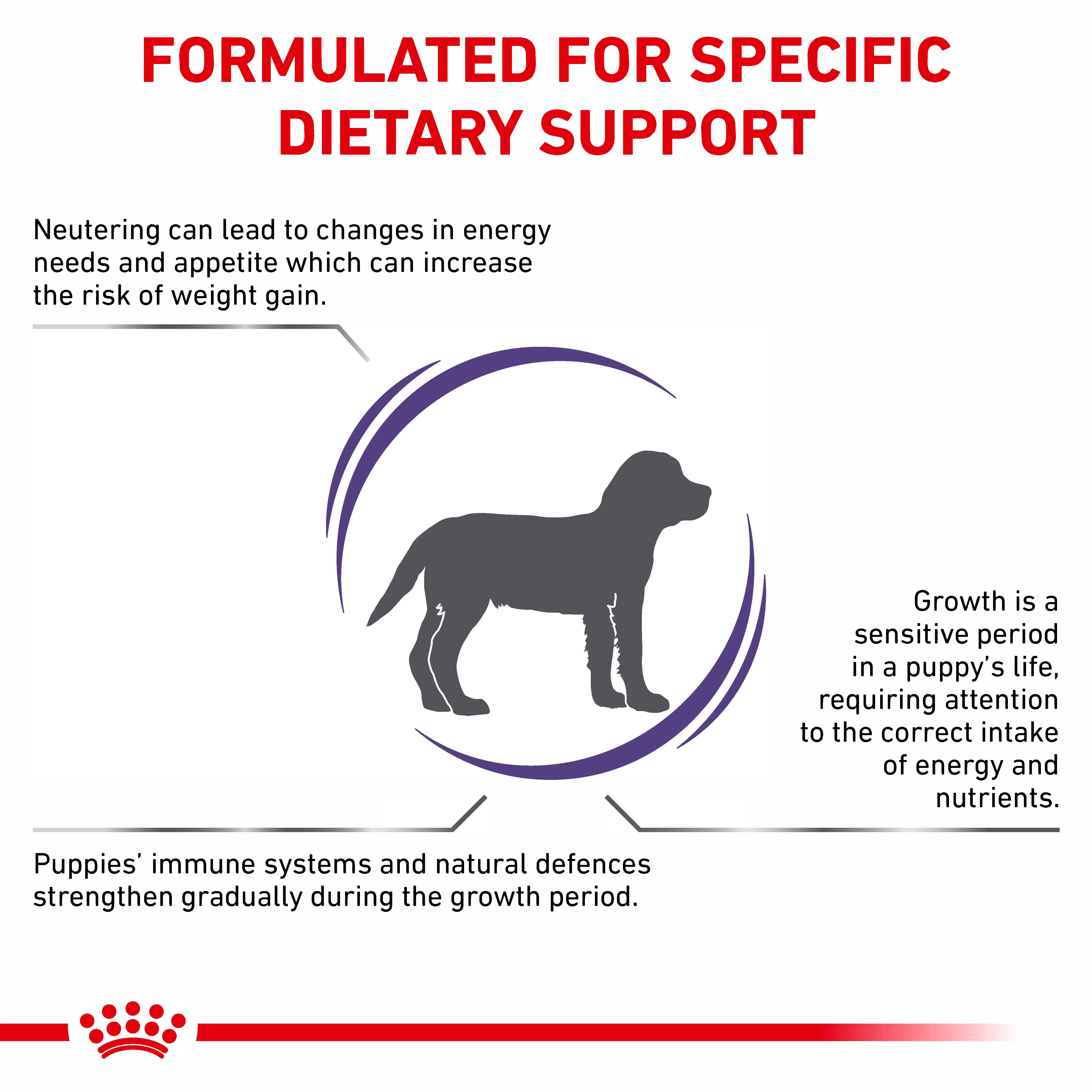 Royal Canin Neutered Junior Puppy Dry Dog Food - Image 3