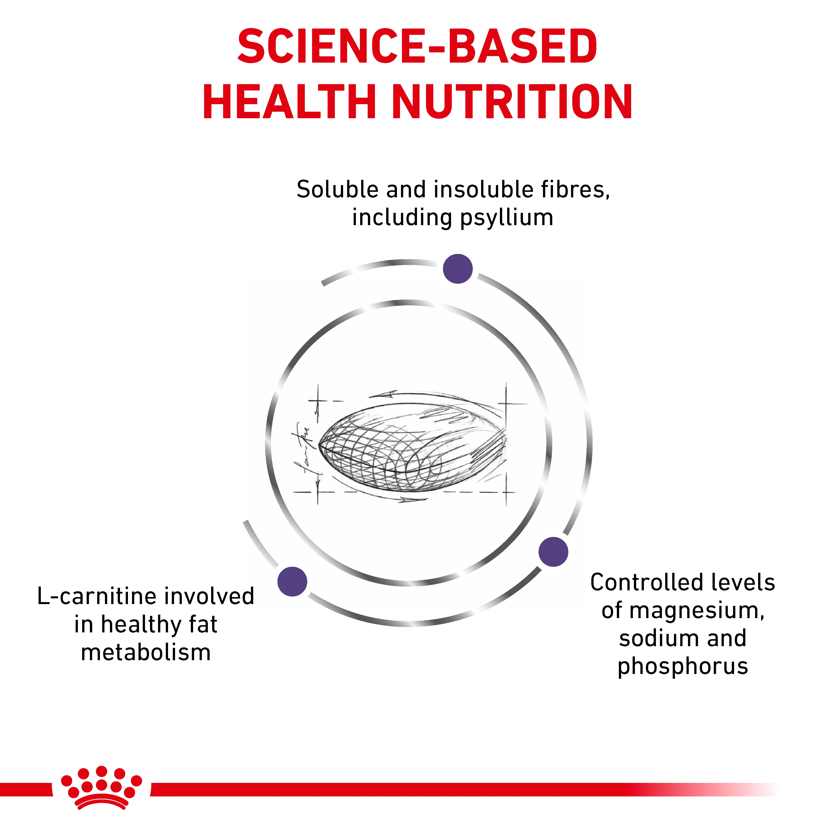Royal Canin Neutered Satiety Balance Adult Dry Cat Food - Image 4