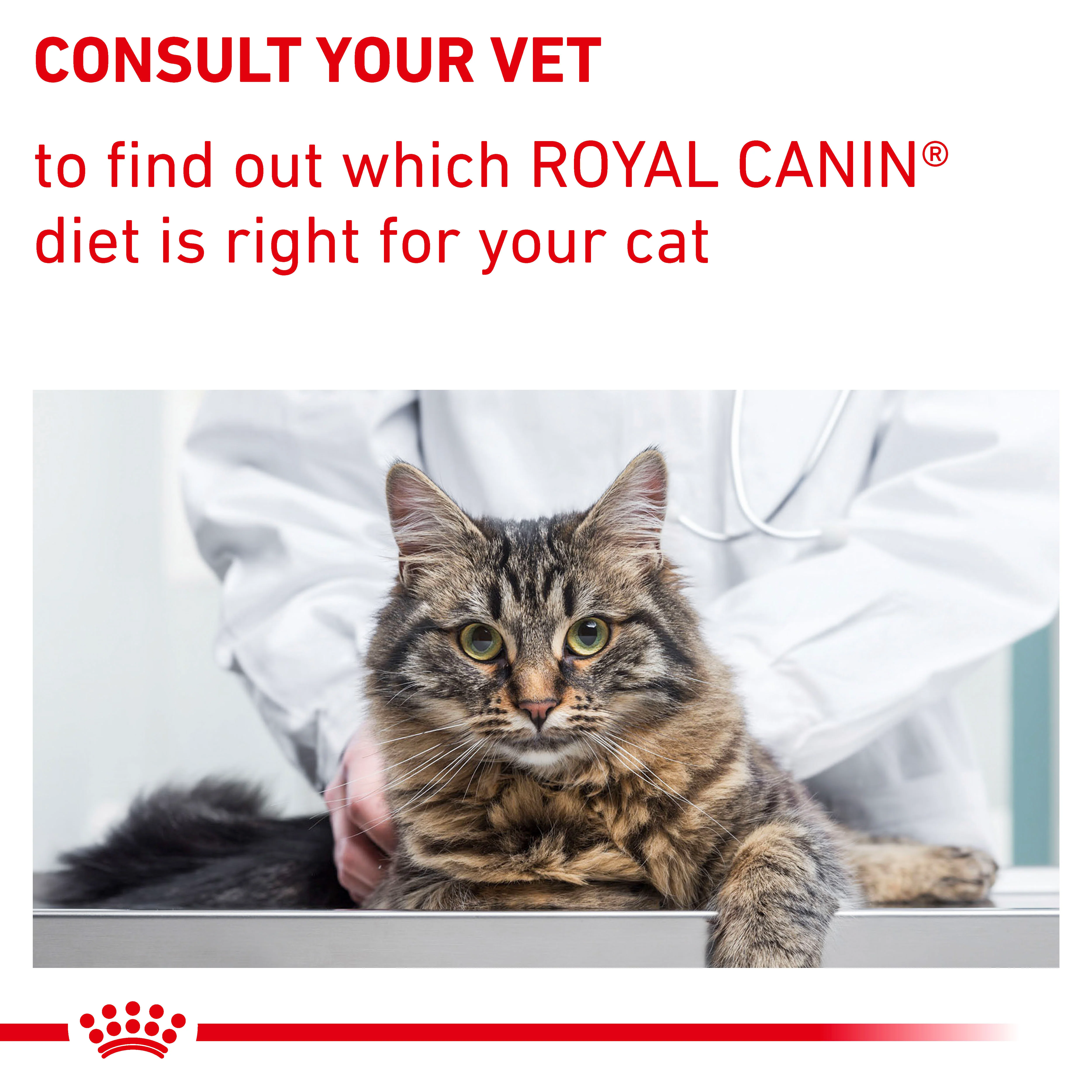 Royal Canin Neutered Satiety Balance Adult Dry Cat Food - Image 8