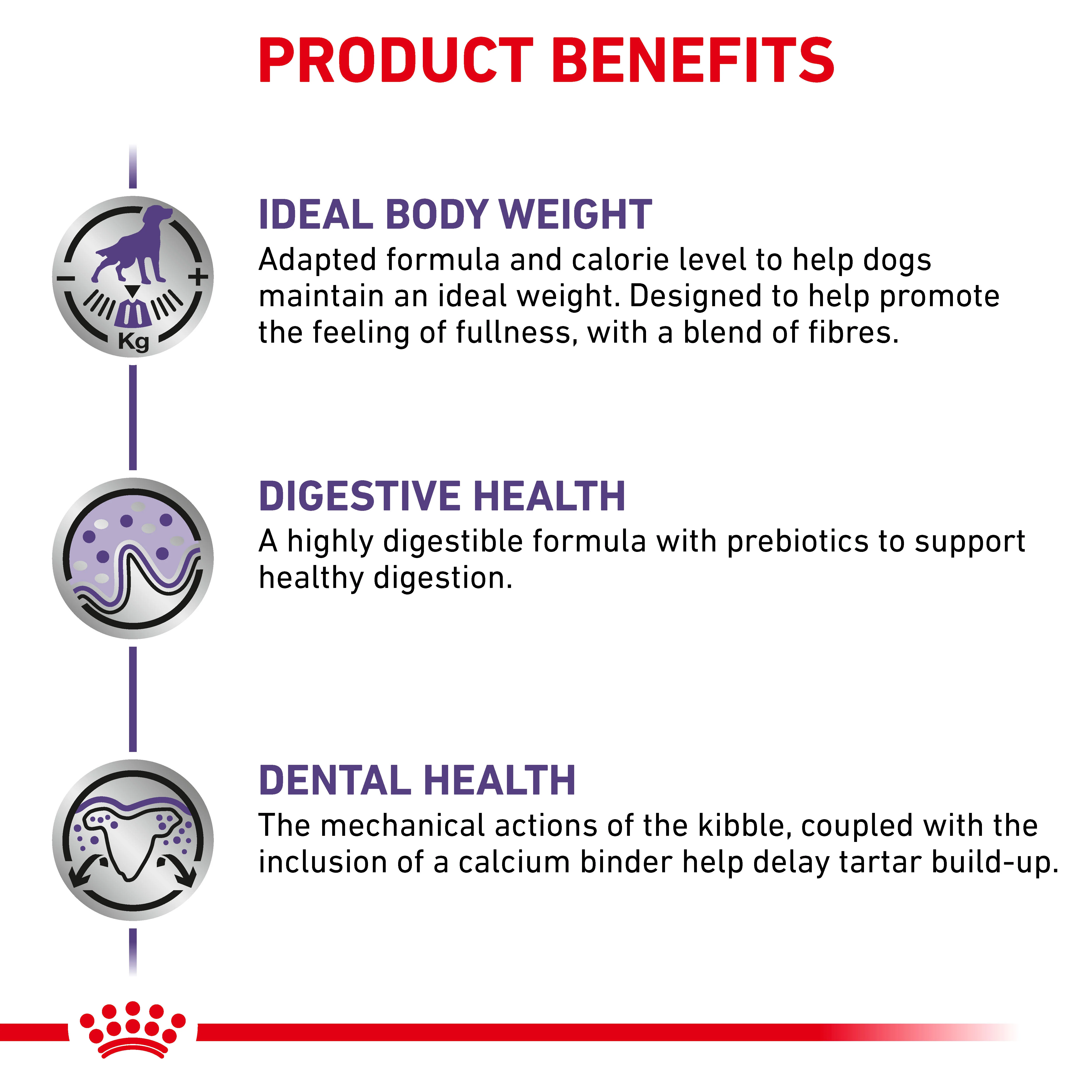 Royal Canin Neutered Adult Small Dog Adult Dry Dog Food - Image 5