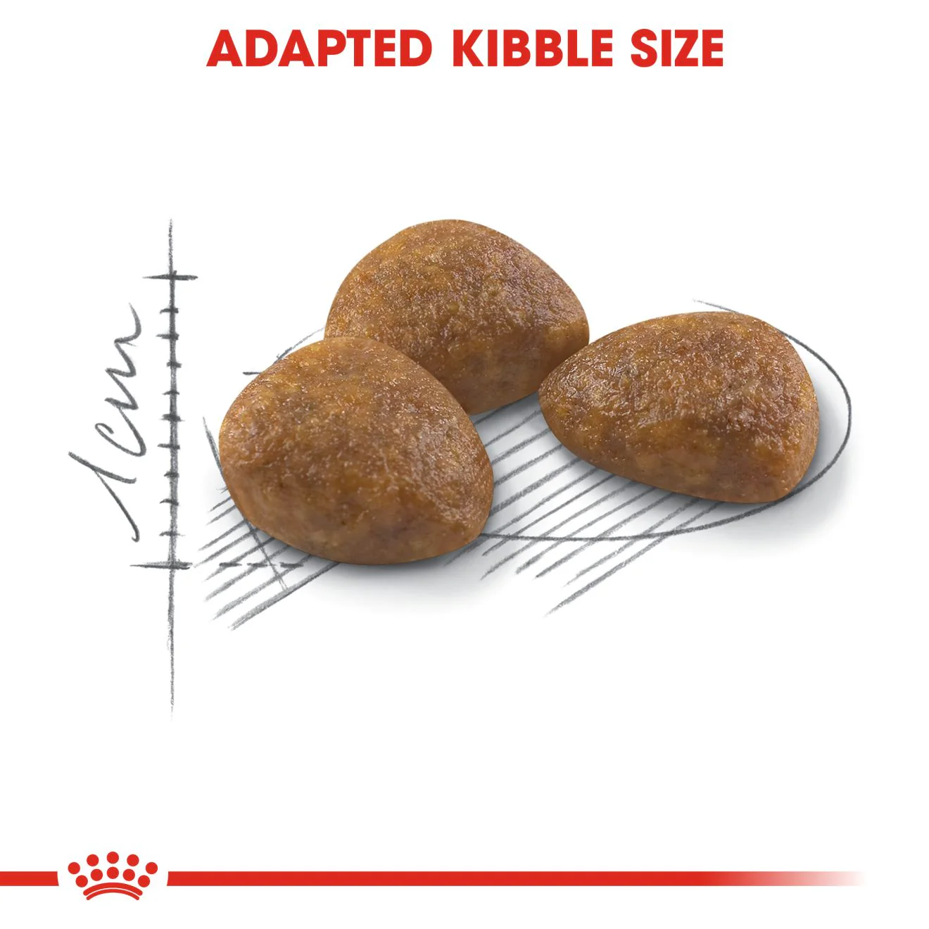 Royal Canin Outdoor +7 Adult Dry Cat Food - Image 3