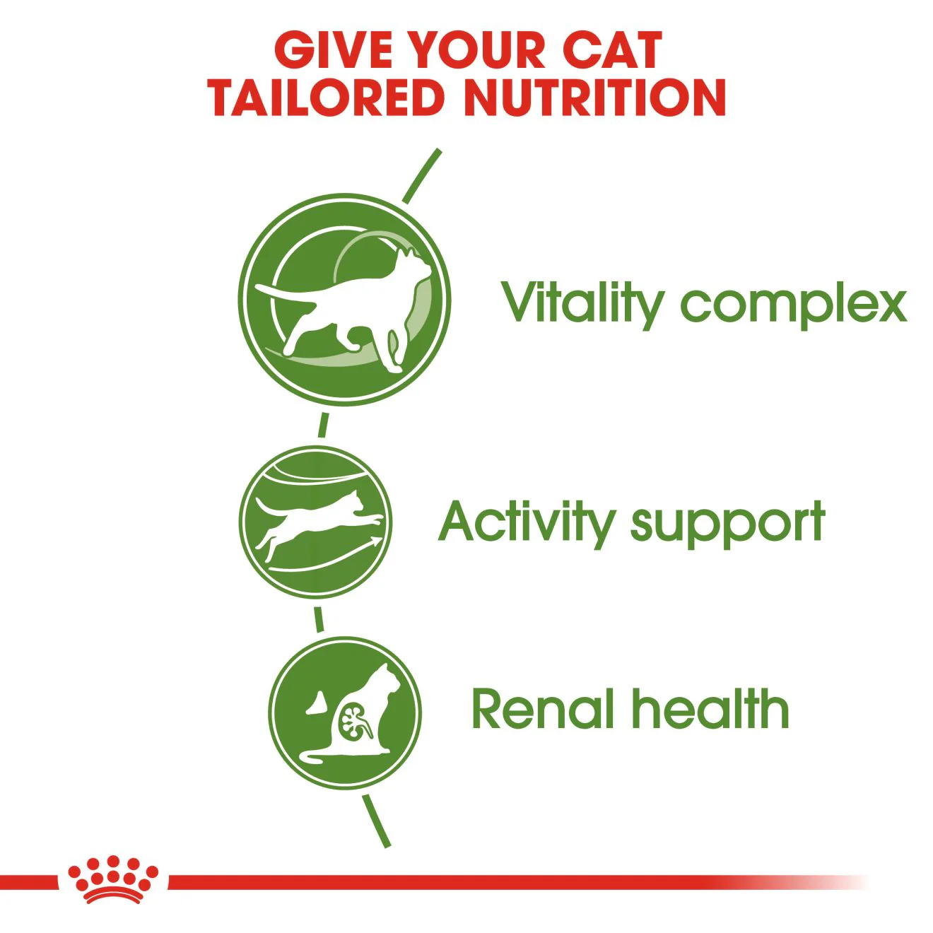 Royal Canin Outdoor +7 Adult Dry Cat Food - Image 4
