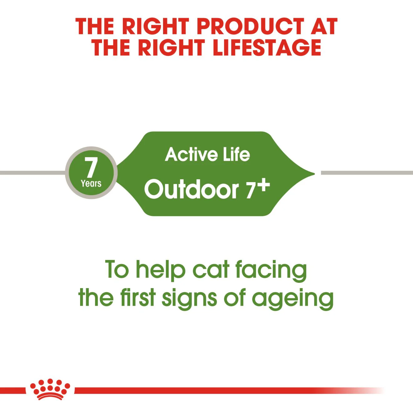Royal Canin Outdoor +7 Adult Dry Cat Food - Image 5