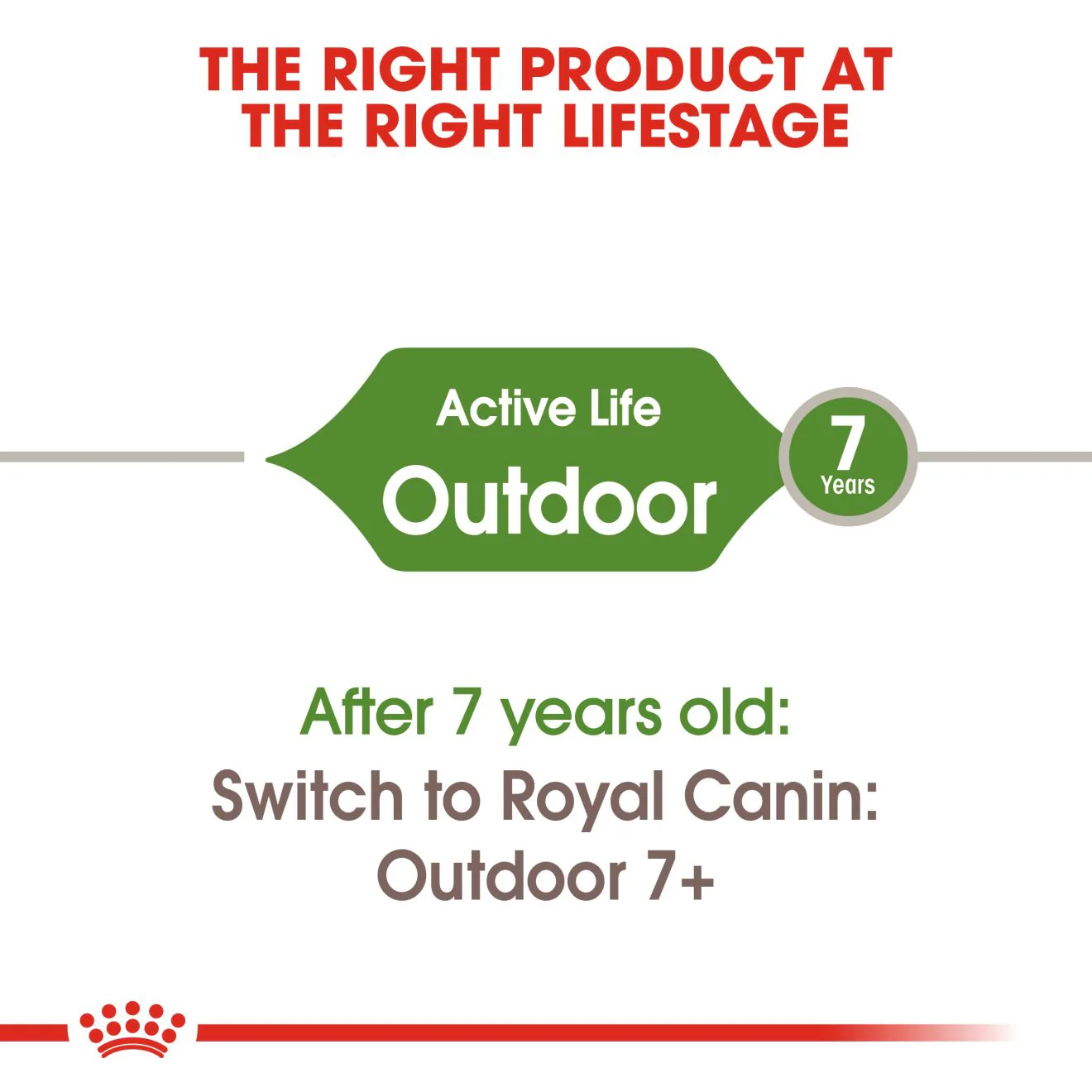Royal Canin Outdoor Adult Dry Cat Food - Image 4