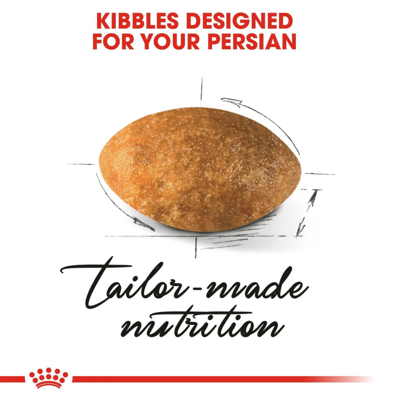 Royal Canin Persian Adult Dry Cat Food - Image 3