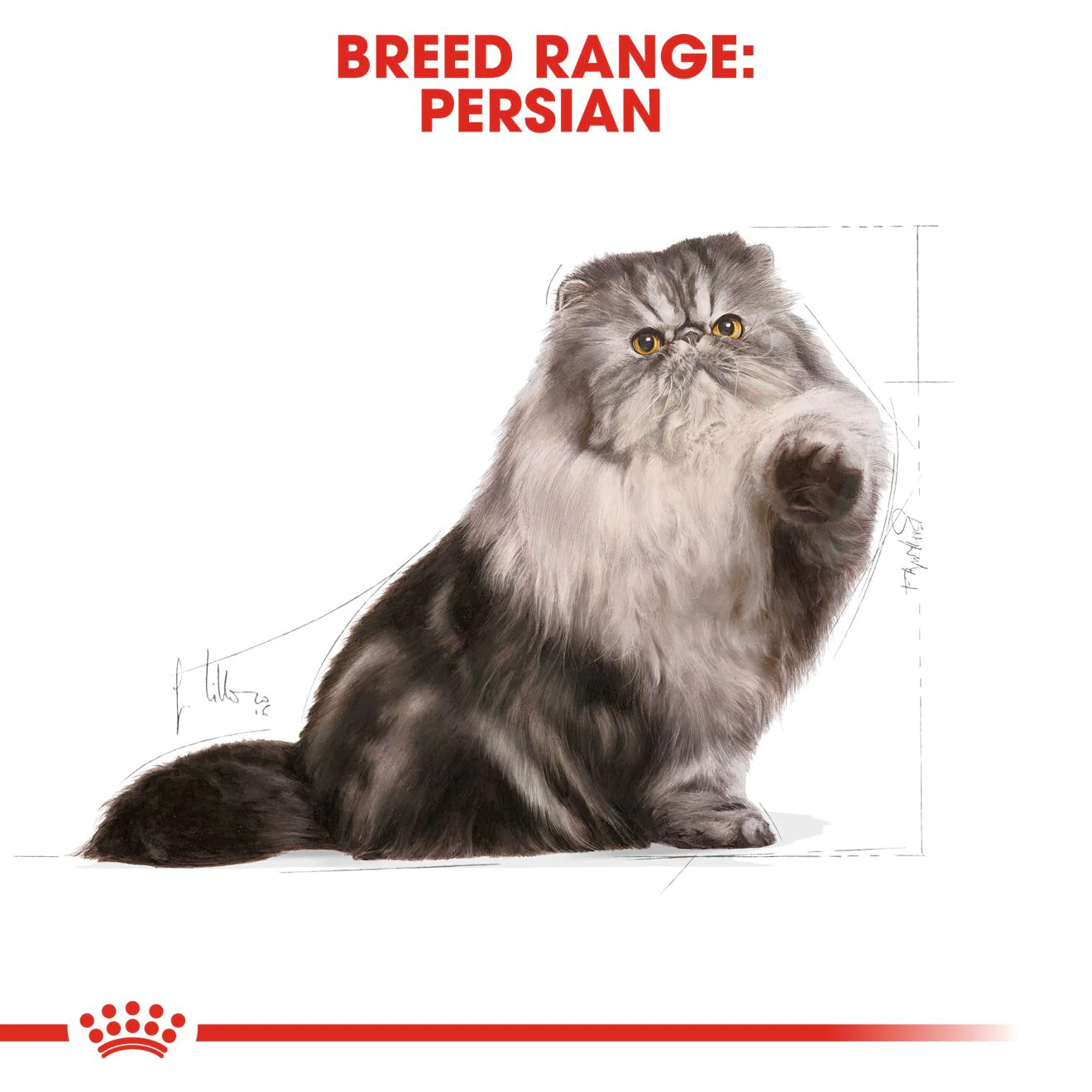 Royal Canin Persian Adult Dry Cat Food - 400g - Image 3