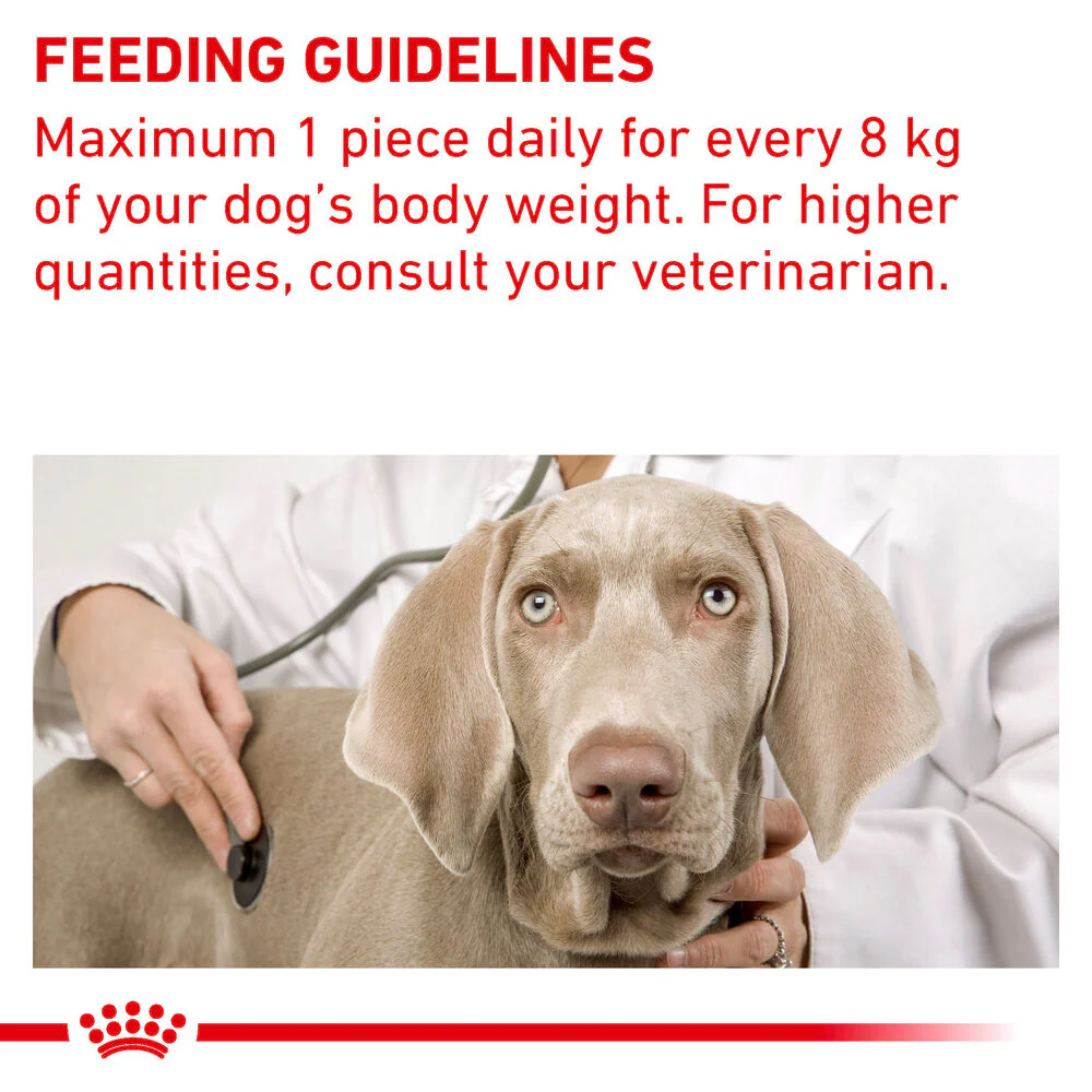 Royal Canin Pill Assist for Medium/Large Dog - Image 3