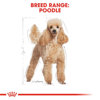 Royal Canin Poodle Adult Dry Dog Food - Image 3