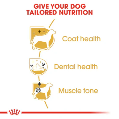 Royal Canin Poodle Adult Dry Dog Food - Image 4
