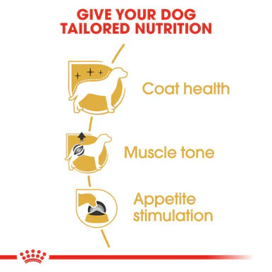 Royal Canin Poodle Adult Wet Dog Food - Image 7