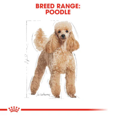Royal Canin Poodle Adult Wet Dog Food - Image 9