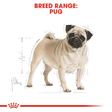 Royal Canin Pug Adult Dry Dog Food - Image 3